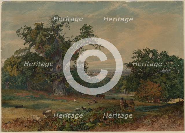 View near Bedford. Creator: Bradford Rudge (British, 1805-1885).