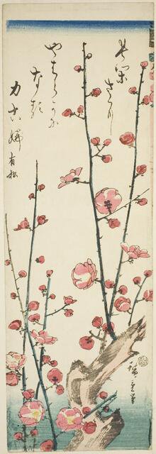 Blossoming plum branches, c. 1843/47. Creator: Ando Hiroshige.