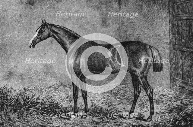 'The Colonel', 1825-1847, (1911). Artist: Unknown.