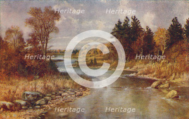 'Canadian Forest Scene', 1924. Artist: Unknown.