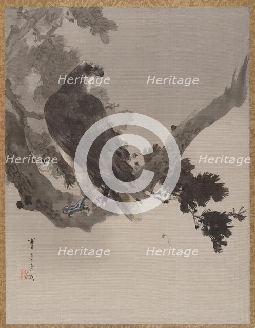 Eagle in a Tree, ca. 1887. Creator: Watanabe Seitei.