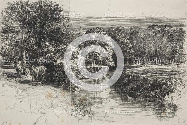 Dundrum River and the Two Asses, 1863. Creator: Francis Seymour Haden (British, 1818-1910).