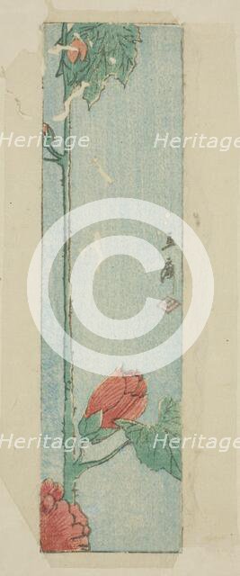 Envelope with hibiscus, n.d. Creator: Ando Hiroshige.