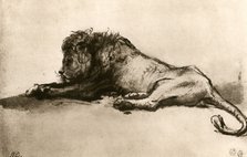 Study of a Lion, 1913.Artist: Rembrandt Harmensz van Rijn    