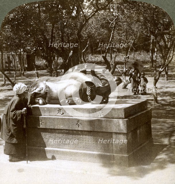 Devout woman stroking a bronze bull to cure rheumatism, Kitano Tenjin temple, Kyoto, Japan, 1904. Artist: Underwood & Underwood
