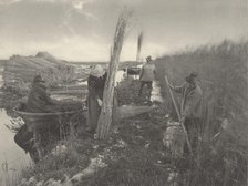 During the Reed-Harvest, 1886. Creators: Dr Peter Henry Emerson, Thomas Frederick Goodall.