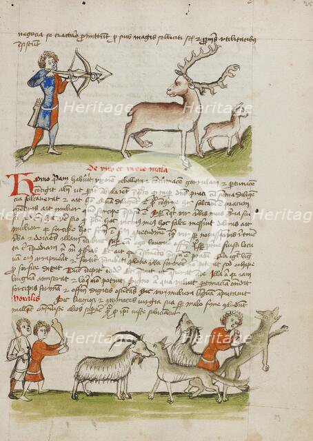 A Hunter Aiming an Arrow at a Stag, a Deer Standing Nearby..., third quarter of 15th century. Creator: Unknown.