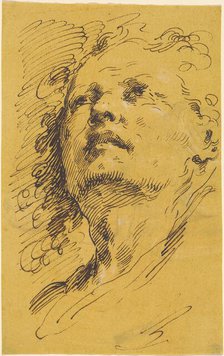 Head of a Man Looking Up, 1770s. Creator: Pietro Antonio Novelli.