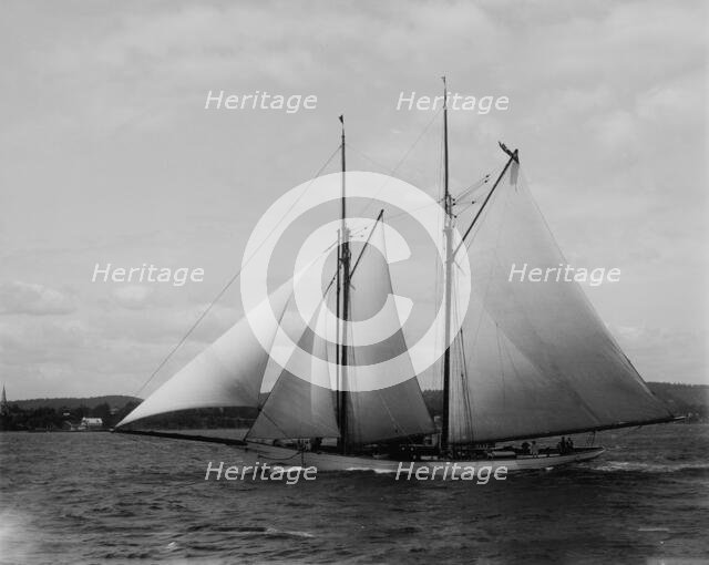 Comanche, 1894 March 7. Creator: John S Johnston.