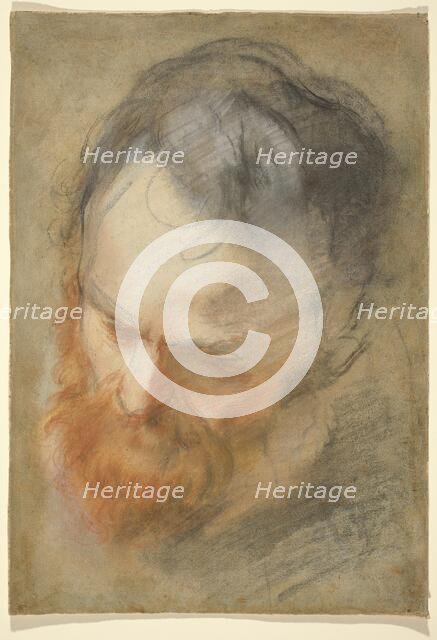 Head of a Bearded Man, 1579/1582. Creator: Federico Barocci.