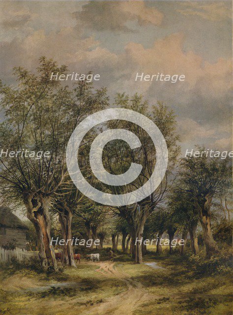 'A Lane near Norwich', c1837. Artist: James Stark.