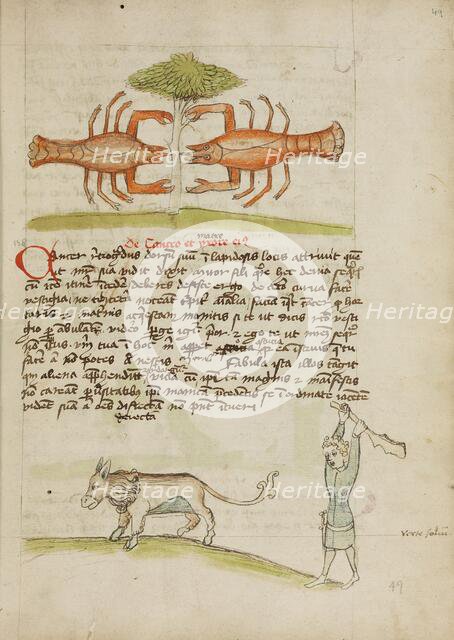 A Crab and Its Mother: A Man Hitting a Donkey; Fables, third quarter of 15th century. Creator: Unknown.