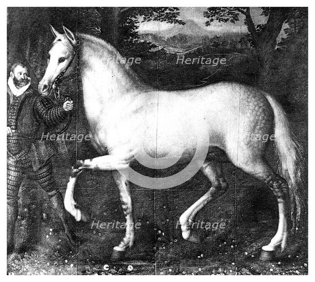 Queen Elizabeth I's horse, (1896). Artist: Unknown