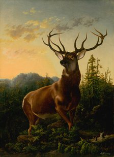 Deer in forest landscape, 1876. Creator: Alexander Brodszky.