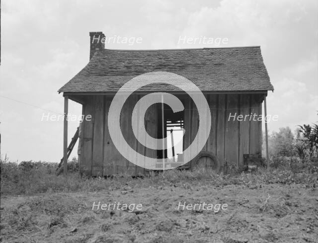 Abandoned tenant house on a mechanized plantation of the Mississippi Delta, 1937. Creator: Dorothea Lange.