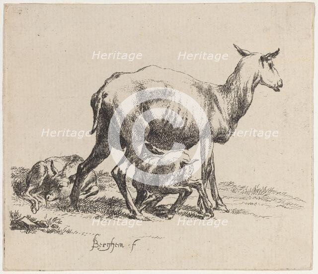 Ewe Nursing Her Lamb. Creator: Nicolaes Berchem.