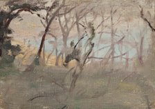 View towards Yalta, 1906. Creator: Jan Ciaglinski.