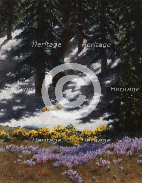 Crocuses and Marsh-Marigolds, July 23, 1907. Creator: Stanislaw Witkiewicz.