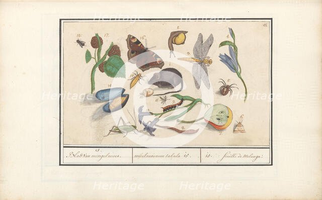 Natural History Ensemble (No. 15), 1596-1610. Creators: Elias Verhulst, Anselmus de Boodt.