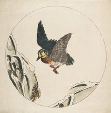 Decoration for a Plate: A Duck flying over Snow-covered Branches, 1850-1914. Creator: Felix Bracquemond.