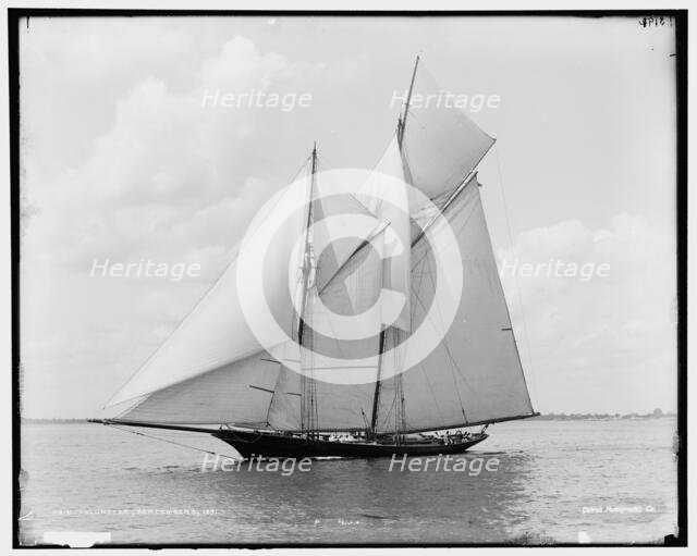 Volunteer, 1891 Sept 8. Creator: Unknown.