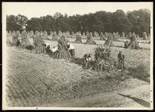 Untitled, ca. 1935. Creator: Lewis Wickes Hine.