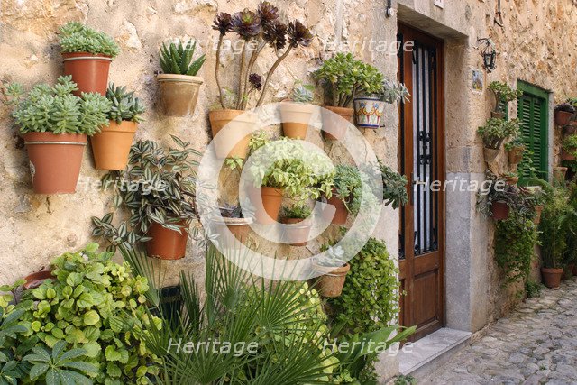 Potted plants on the wall of a house, Valldemossa, Mallorca, Spain.