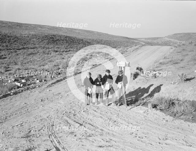 Boys wait for school bus in the morning, Malheur County, Oregon, 1939. Creator: Dorothea Lange.
