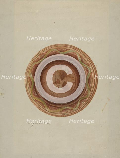 Plate. Creator: Roy S. Brown.