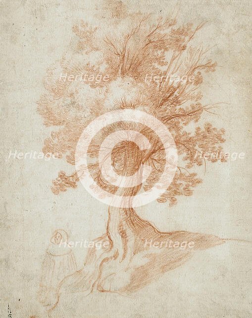 Study of a Tree, between circa 1610 and circa 1620. Creator: Cristofano Allori.