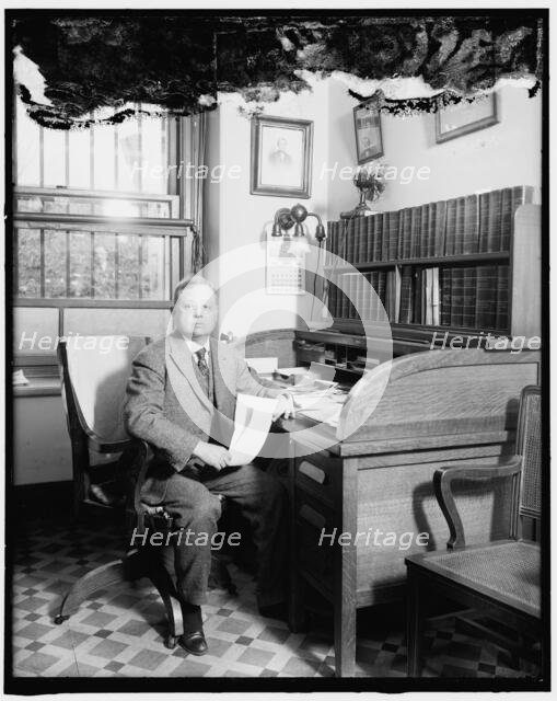 Langworthy, Chief of Home Economics Section, 1920. Creator: Harris & Ewing.