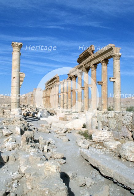 Upper Colonnade Street, Palmyra, Syria. 