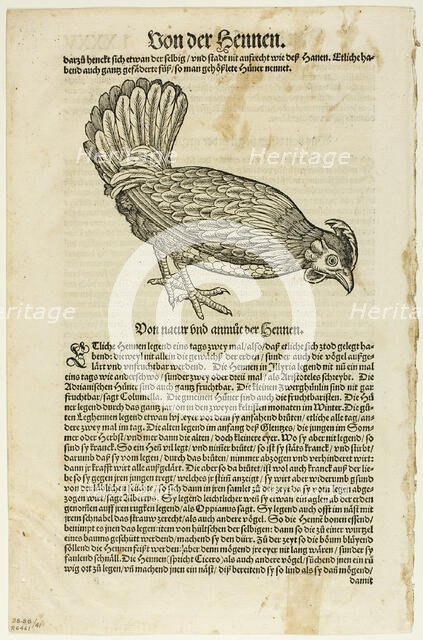 Illustration from "Vogelbuch", plate 41 from Woodcuts from Books of the XVI Century,...1937. Creators: Unknown, Max Geisberg.