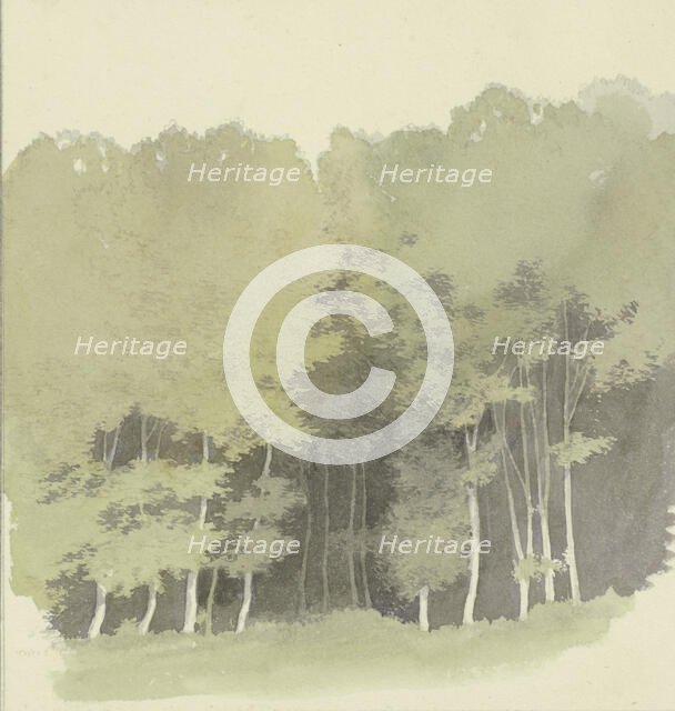 Edge of a wood, c1853. Creator: Carl Theodor Reiffenstein.