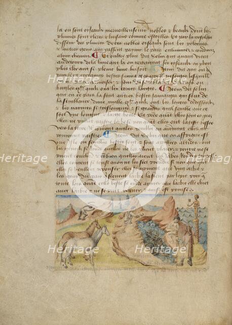 Spain; Livre des merveilles du monde (Book of the Marvels of the World), about 1460-1465. Creator: Master of the Geneva Boccaccio.