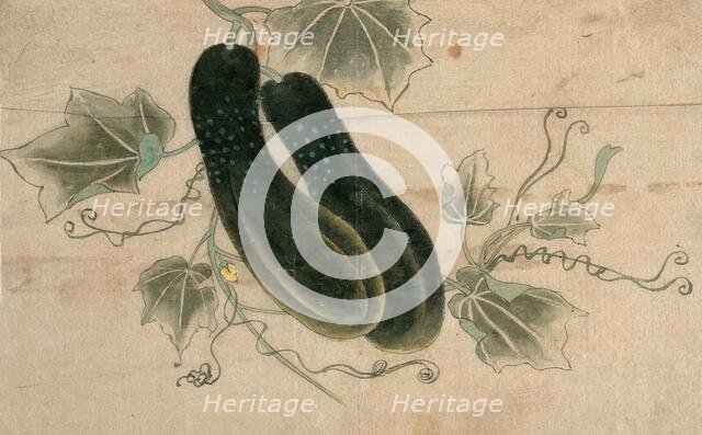 Two dill cucumbers, (unknown date). Creator: Unknown.