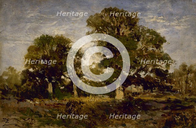 Les chênes, between 1850 and 1860. Creator: Felix Francois Georges Philibert Ziem.