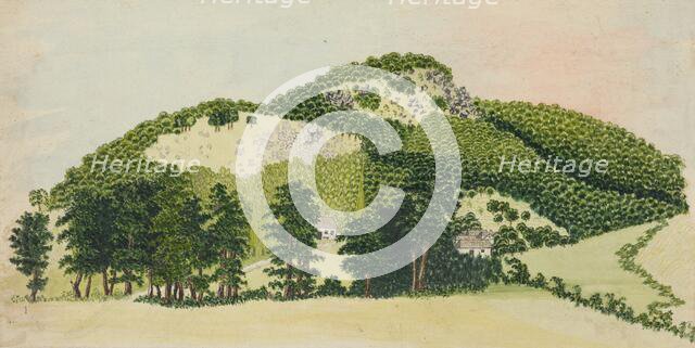 Forest I., 1850-1890. Creator: Unknown.