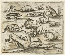Group of small woodland creatures eating and running around a pond, including a mouse..., 1557.  Creator: Virgil Solis.