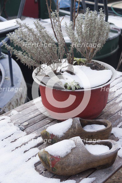 Lisson Wide, 23/12/09, 10:13:25. Creator: Ethel Davies.