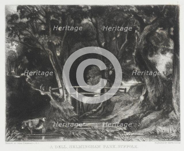 A Dell, Helmingham Park, Suffolk, 1830. Creator: David Lucas.