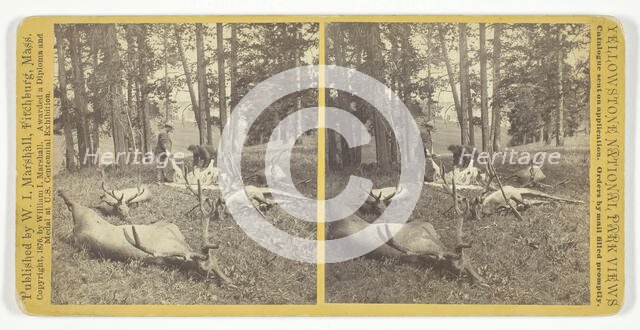 Successful Hunters dressing Elk, 1876. Creator: William I. Marshall.