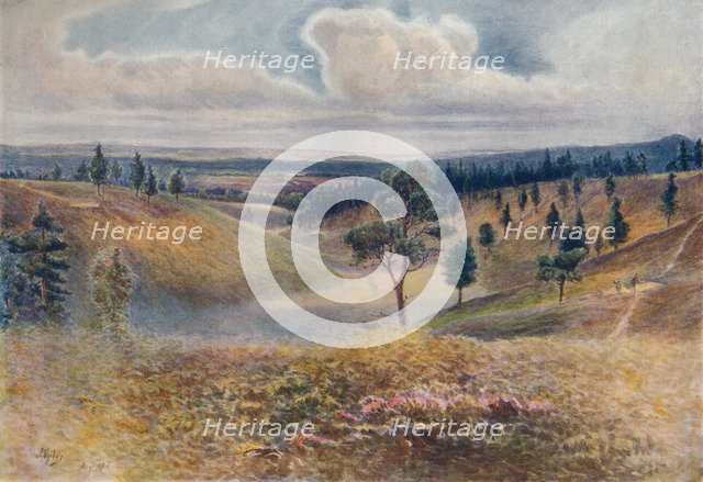 'View from Beacon Hill, Hindhead', 1911, (1914). Artist: James S Ogilvy.