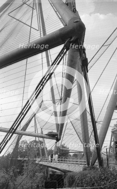Northern Aviary, Zoological Gardens, Regent's Park, Westminster, London, c1965. Artist: Eric de Maré