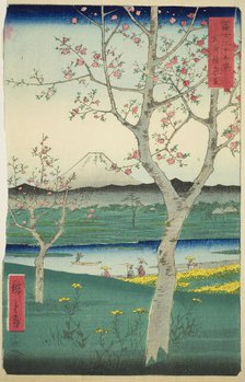 The Outskirts of Koshigaya in Musashi Province (Musashi Koshigaya zai), from the..., 1858. Creator: Ando Hiroshige.