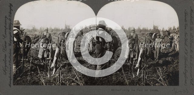 Plowing the field for cotton, (1868-1900?). Creator: Unknown.
