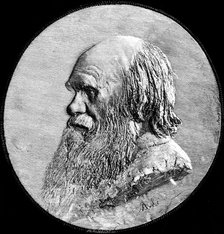 Charles Darwin, 1882. Artist: Unknown