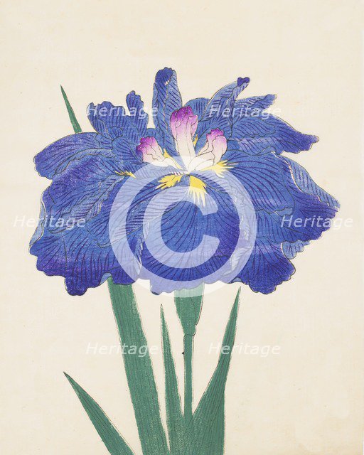 Karako-Asobi, No. 42, 1890, (colour woodblock print)