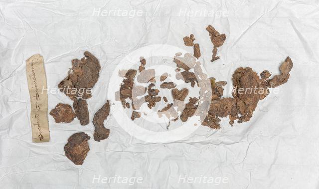 Relic of St. Bartholomew, c. 1045. Creator: Unknown.