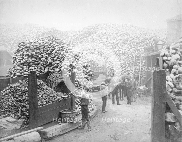 Coconut fibre works, Millwall, London, 1885. Artist: Unknown